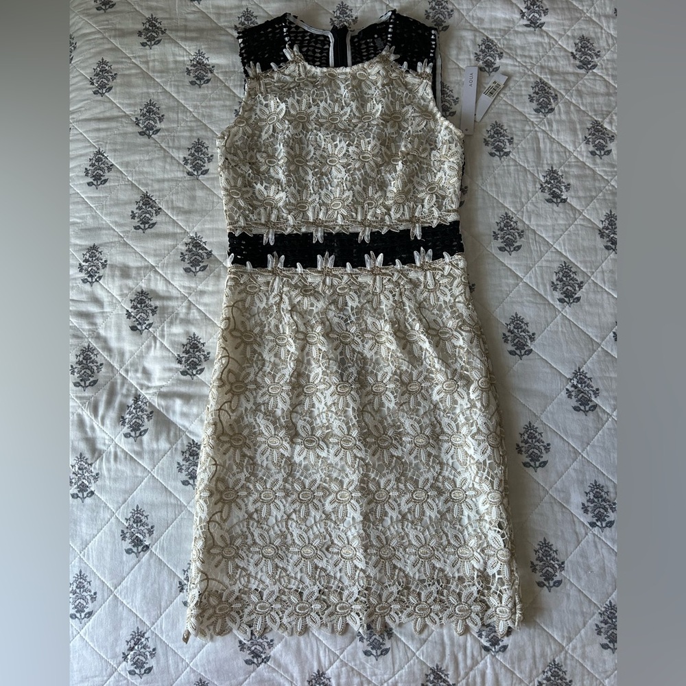 NWT Aqua Black and Cream Lace Dress